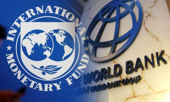 Dünya Bankası IMF’ye Alternatif Değildir